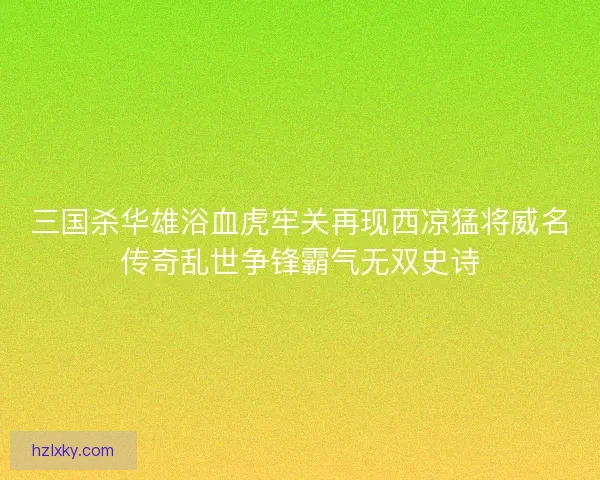 三国杀华雄浴血虎牢关再现西凉猛将威名传奇乱世争锋霸气无双史诗